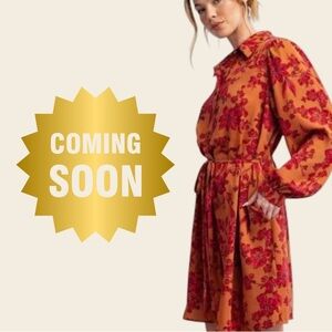 COMING SOON EASEL SHIRT DRESS